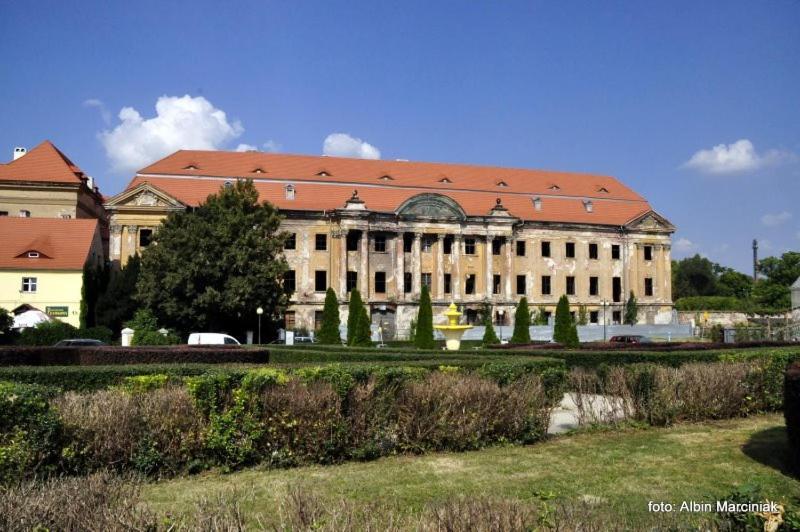 M.S. Piccolo Apartment Zary  Bagian luar foto